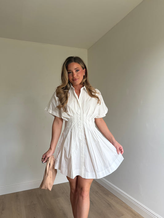 Penelope Pleated Button-Up Dress